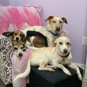 Fundraising Page: Kathleen Christiansen